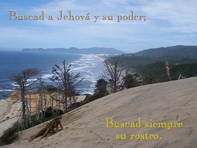 [Buscad a Jehová y su poder; Buscad siempre su rostro (Salmo 105.4)]