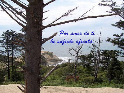 [Por amor de ti he sufrido afrenta (Salmo 69.7)]