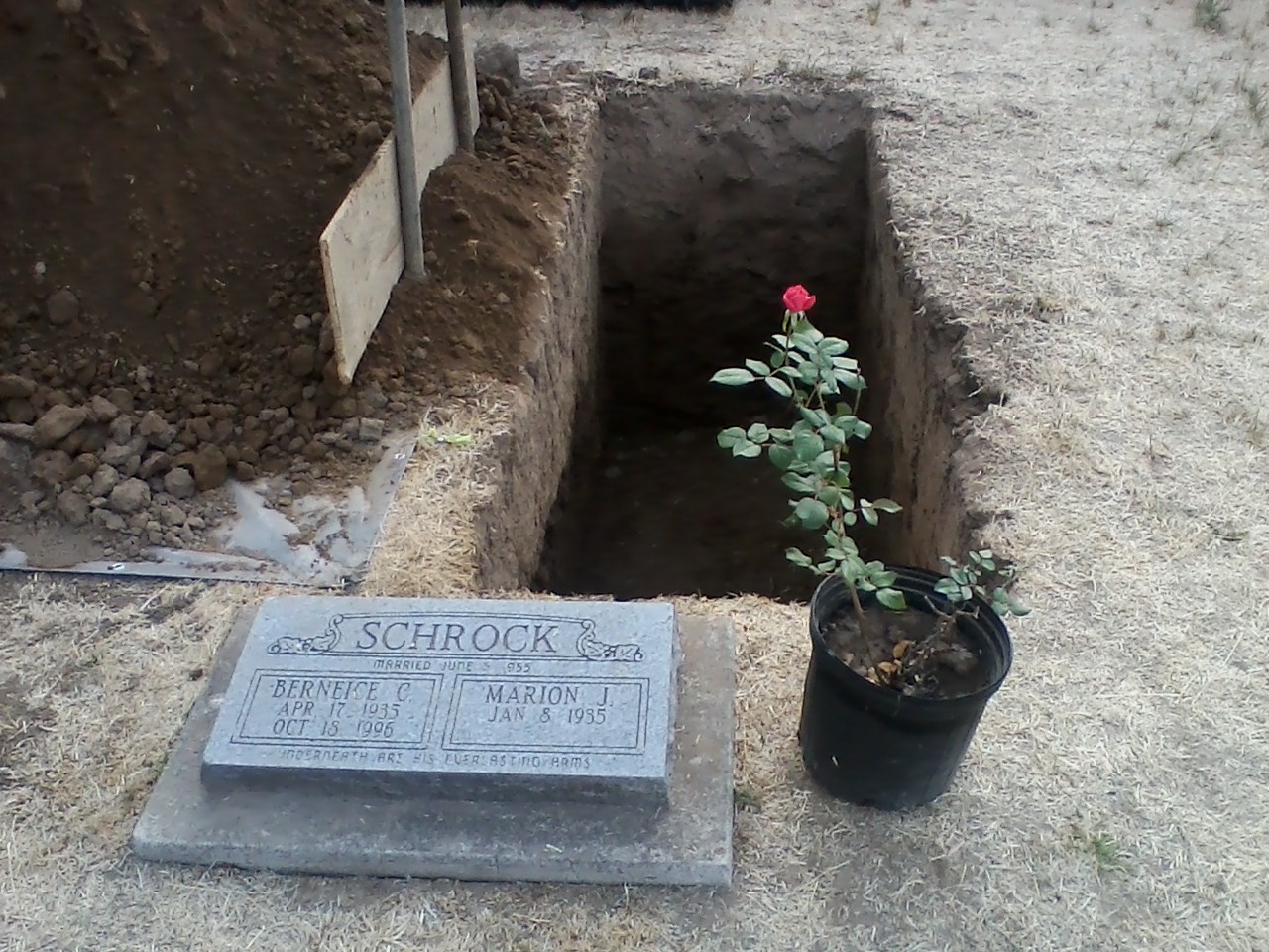 Grave in Hopewell cemetery: Marion Schrock