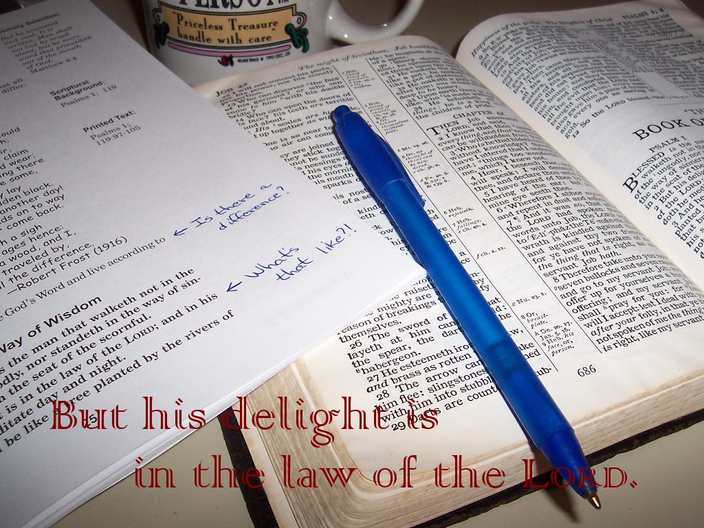 Delighting in God's law