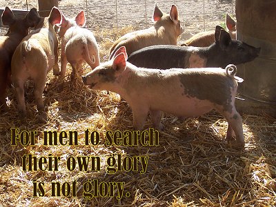 [For men to search their own glory is not glory (Proverbs 25:27)]