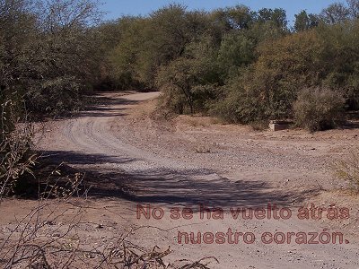 [No se ha vuelto atrás nuestro corazón (Salmo 44.18)]