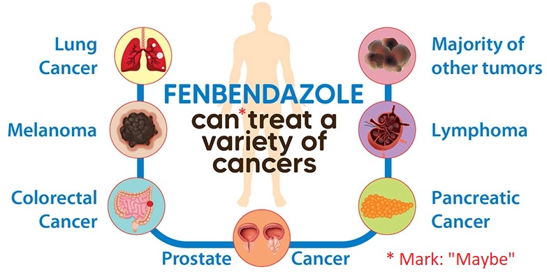 Fenbendazole for human cancer?