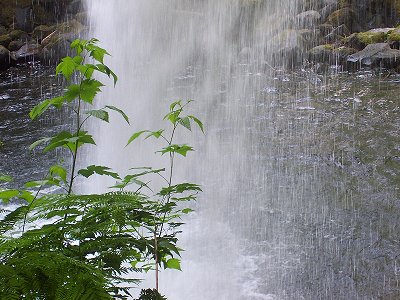 Horsetail Falls, Oregon: another view from behind the upper falls