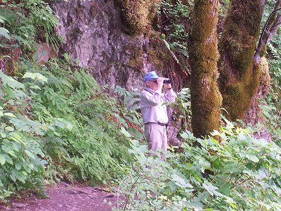 Horsetail Falls, Oregon: Dad part way up to the upper falls