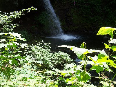 Horsetail Falls, Oregon: upper falls pool