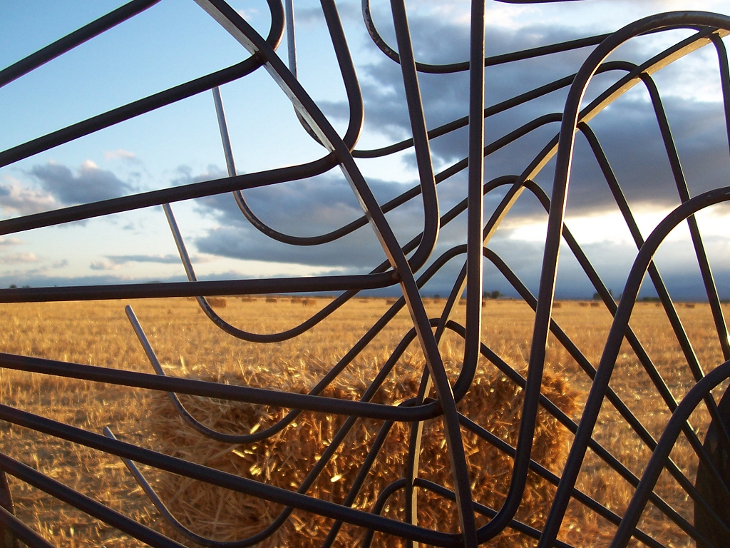 Luke's bales seen through a rake at sunset