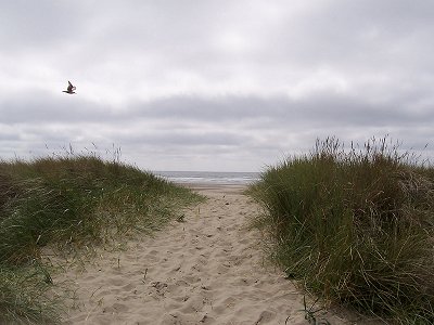 Yaquina Head State Park, Newport, Oregon